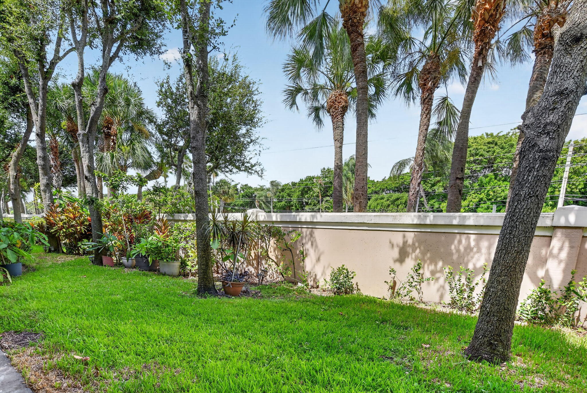 CARRIAGE POINTE - Residential
