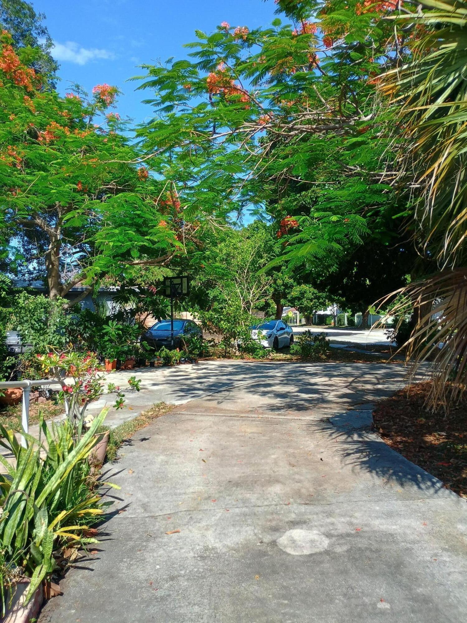 FOREST RIDGE PARK - Residential