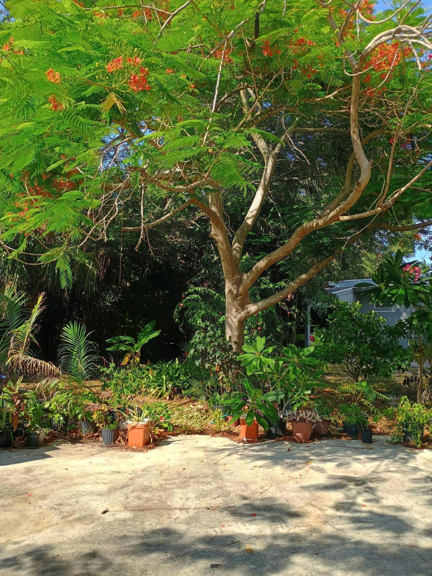 FOREST RIDGE PARK - Residential
