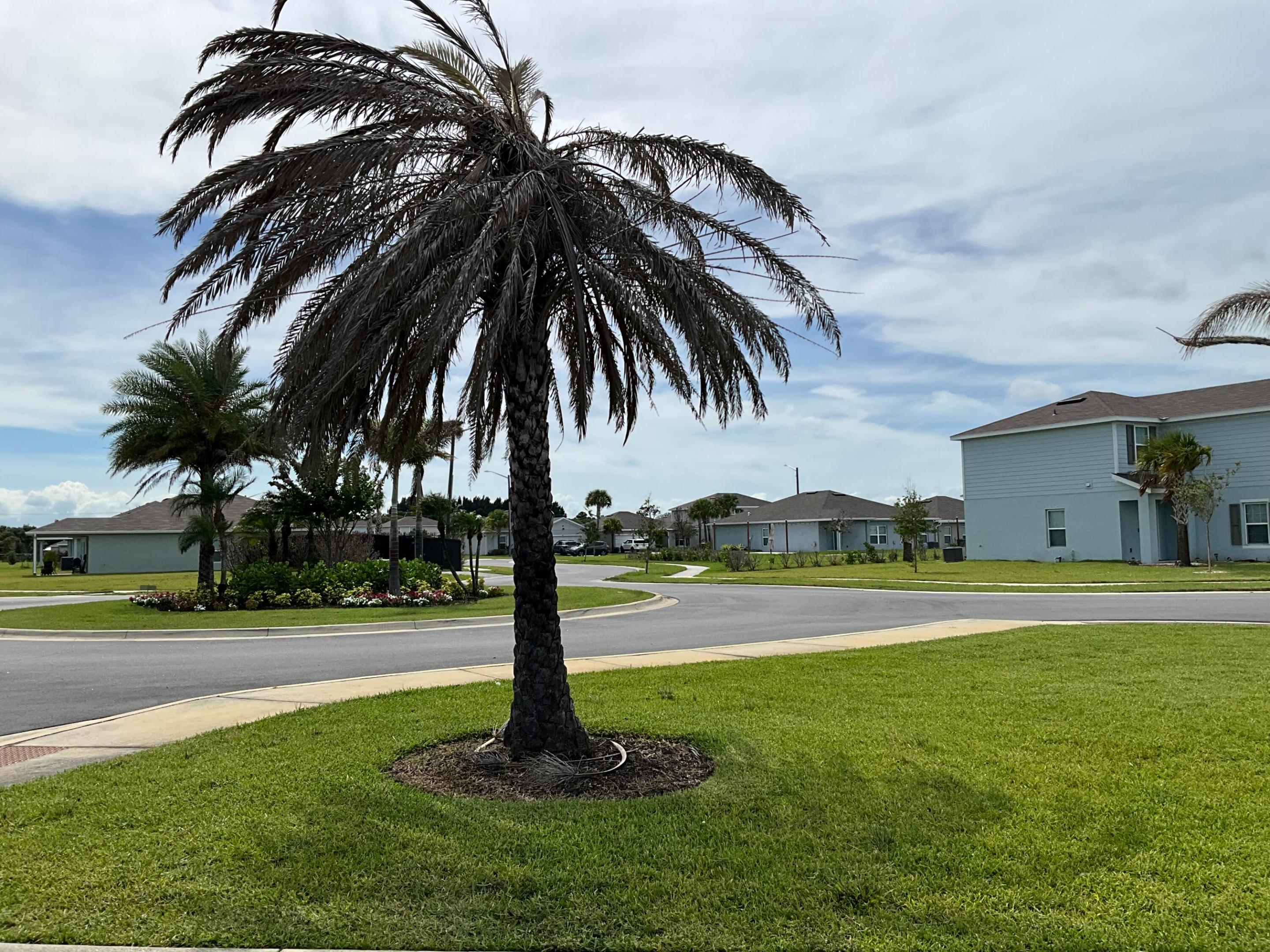 AVALON CROSSING PHASE II - Residential