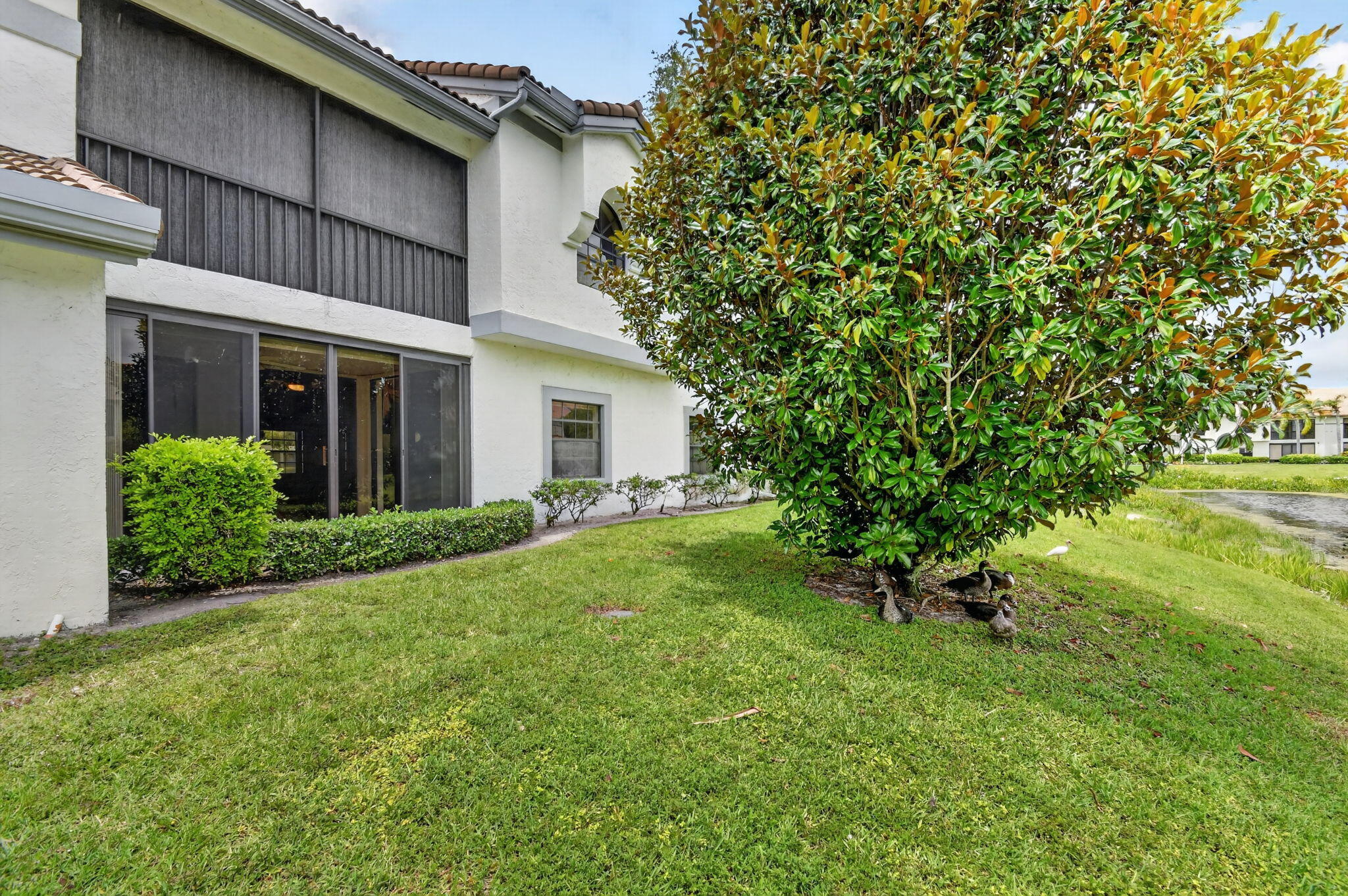 ALEXANDRA VILLAGE CONDO PLATINA - Residential