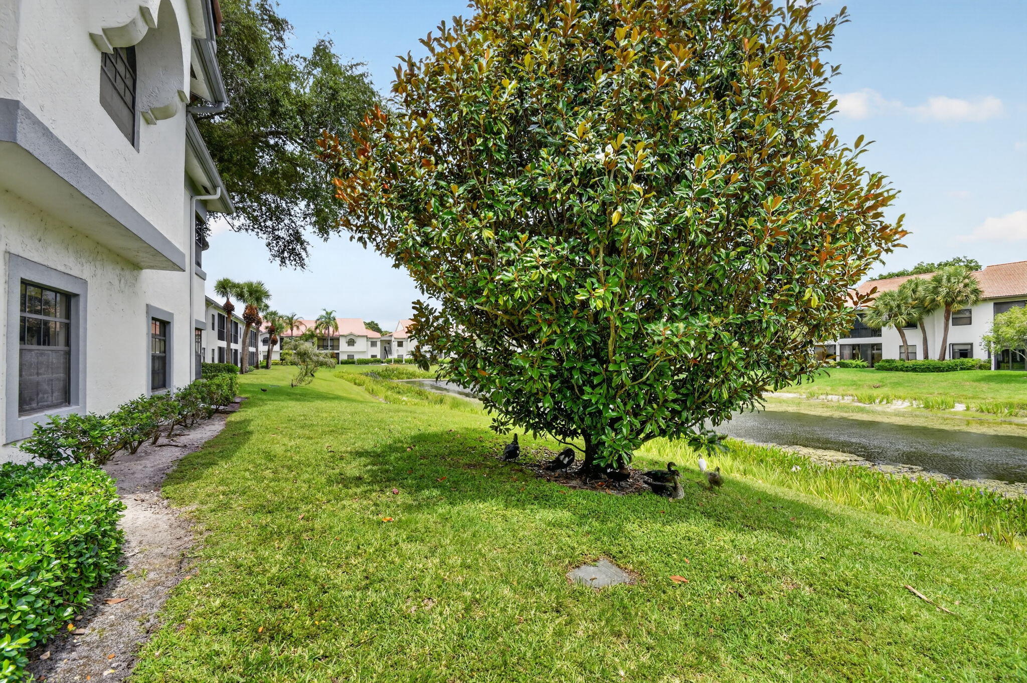 ALEXANDRA VILLAGE CONDO PLATINA - Residential