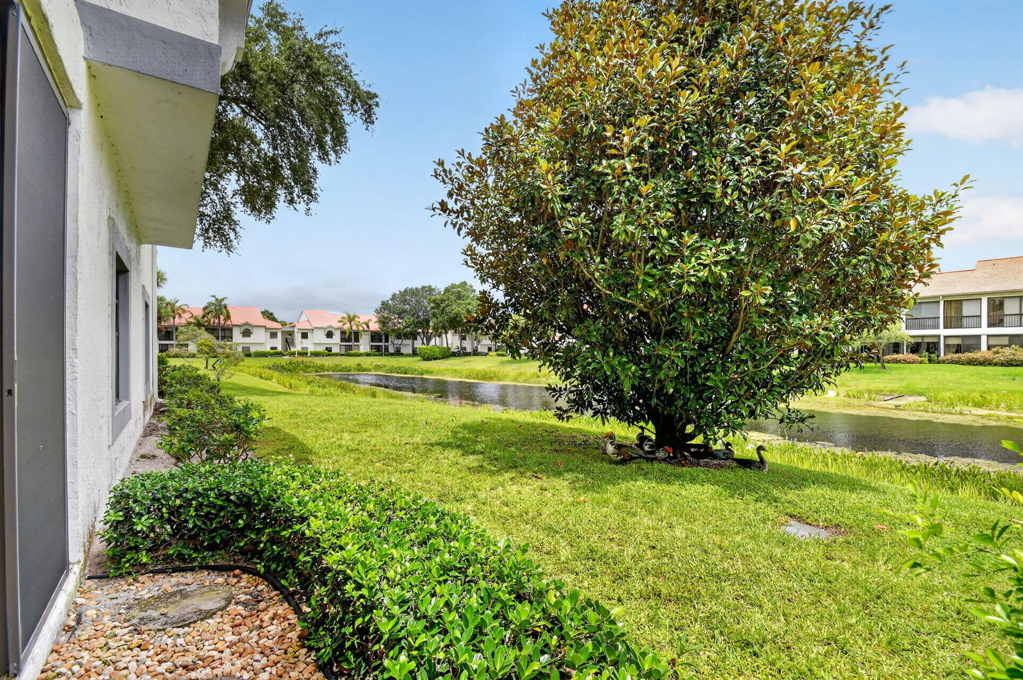 ALEXANDRA VILLAGE CONDO PLATINA - Residential