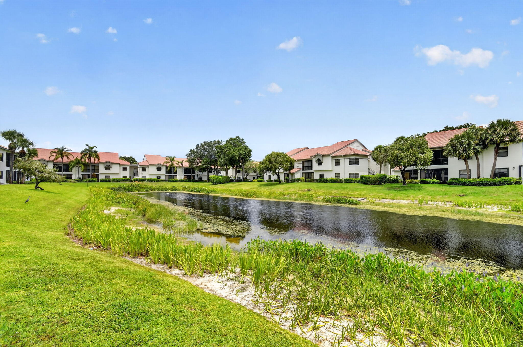 ALEXANDRA VILLAGE CONDO PLATINA - Residential
