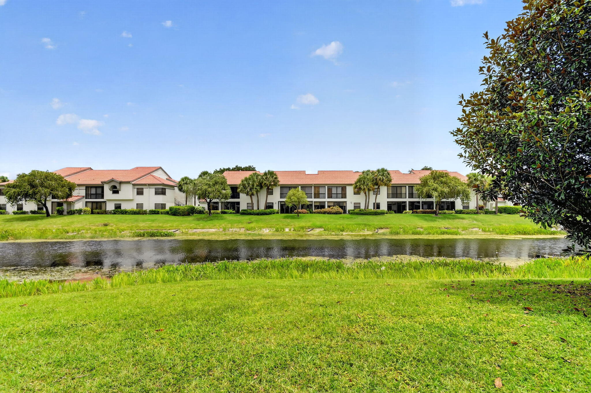ALEXANDRA VILLAGE CONDO PLATINA - Residential