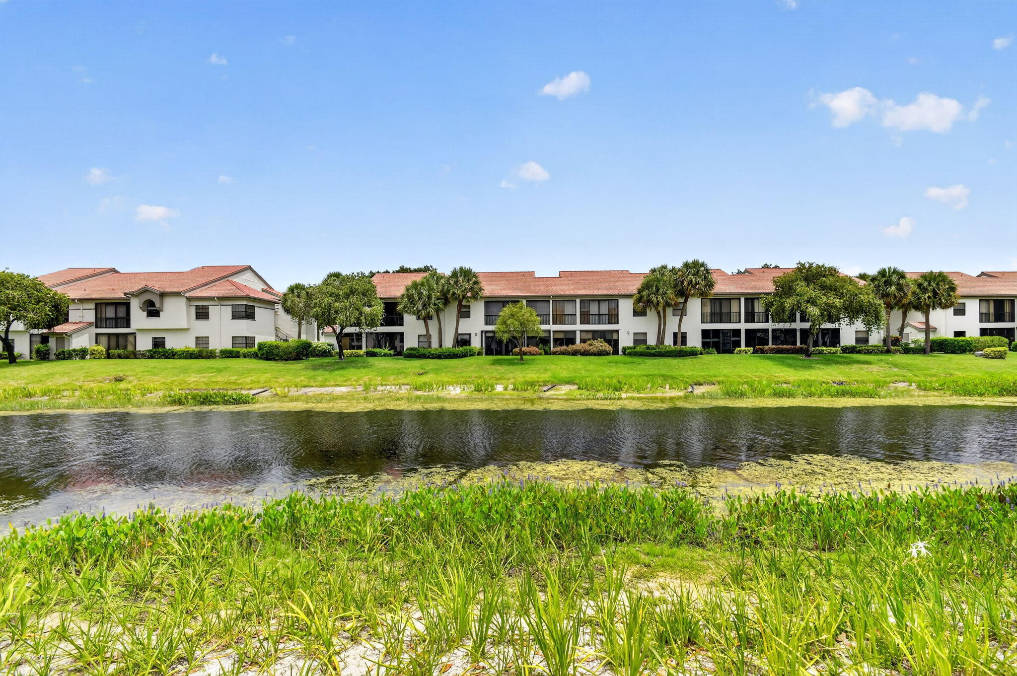 ALEXANDRA VILLAGE CONDO PLATINA - Residential