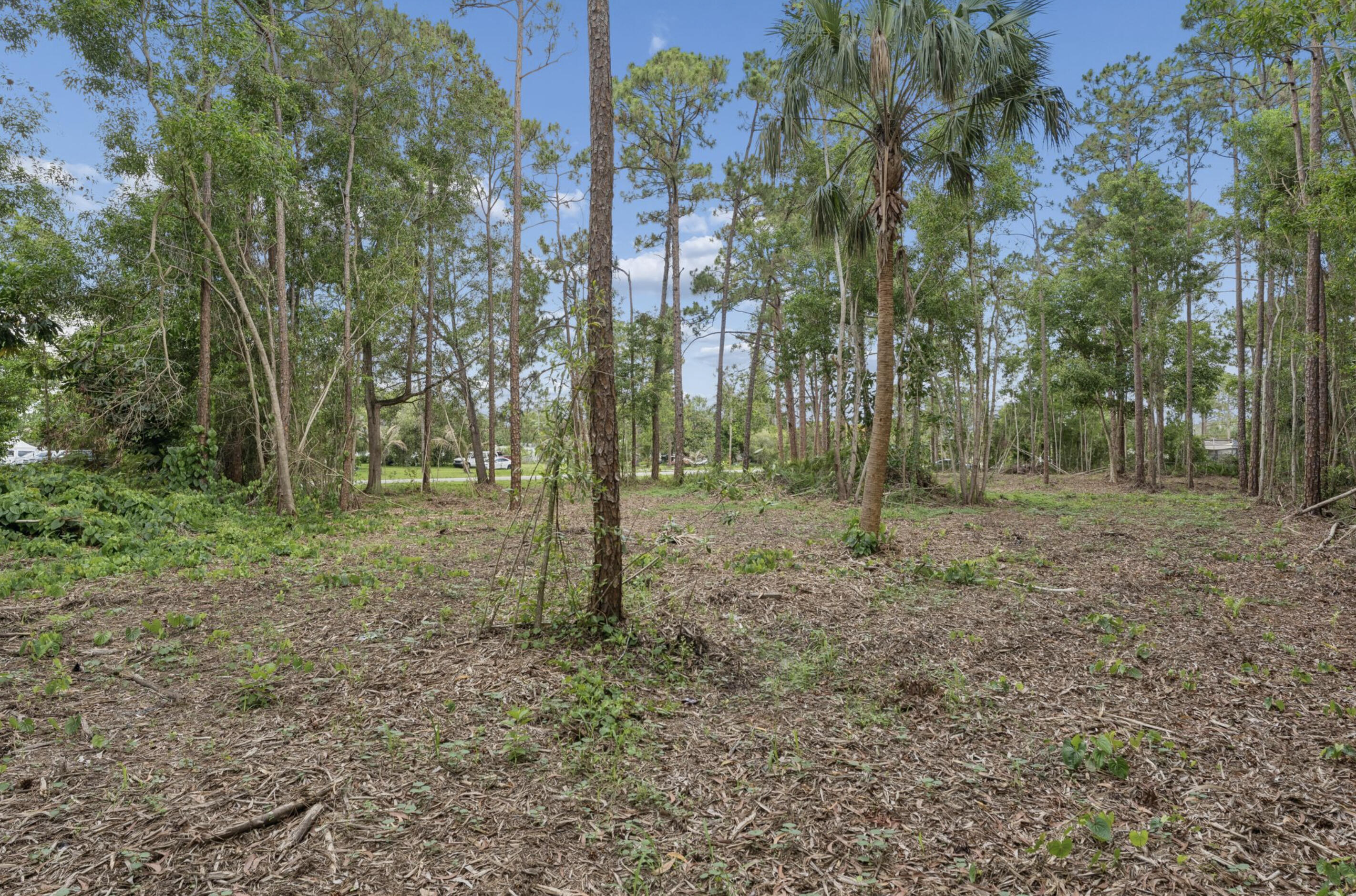 Acreage - Land
