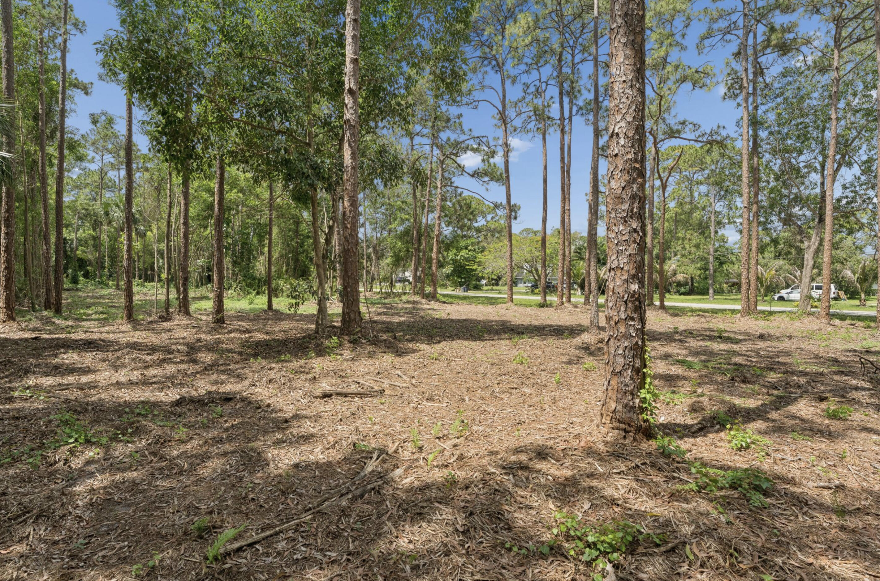 Acreage - Land