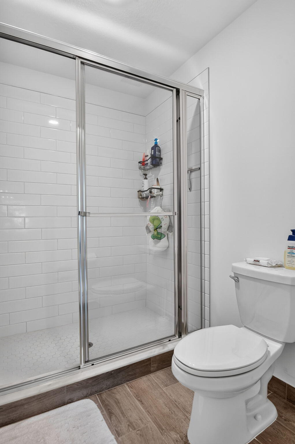 LAKESHORE AT THE FOUNTAINS REPLAT - Residential
