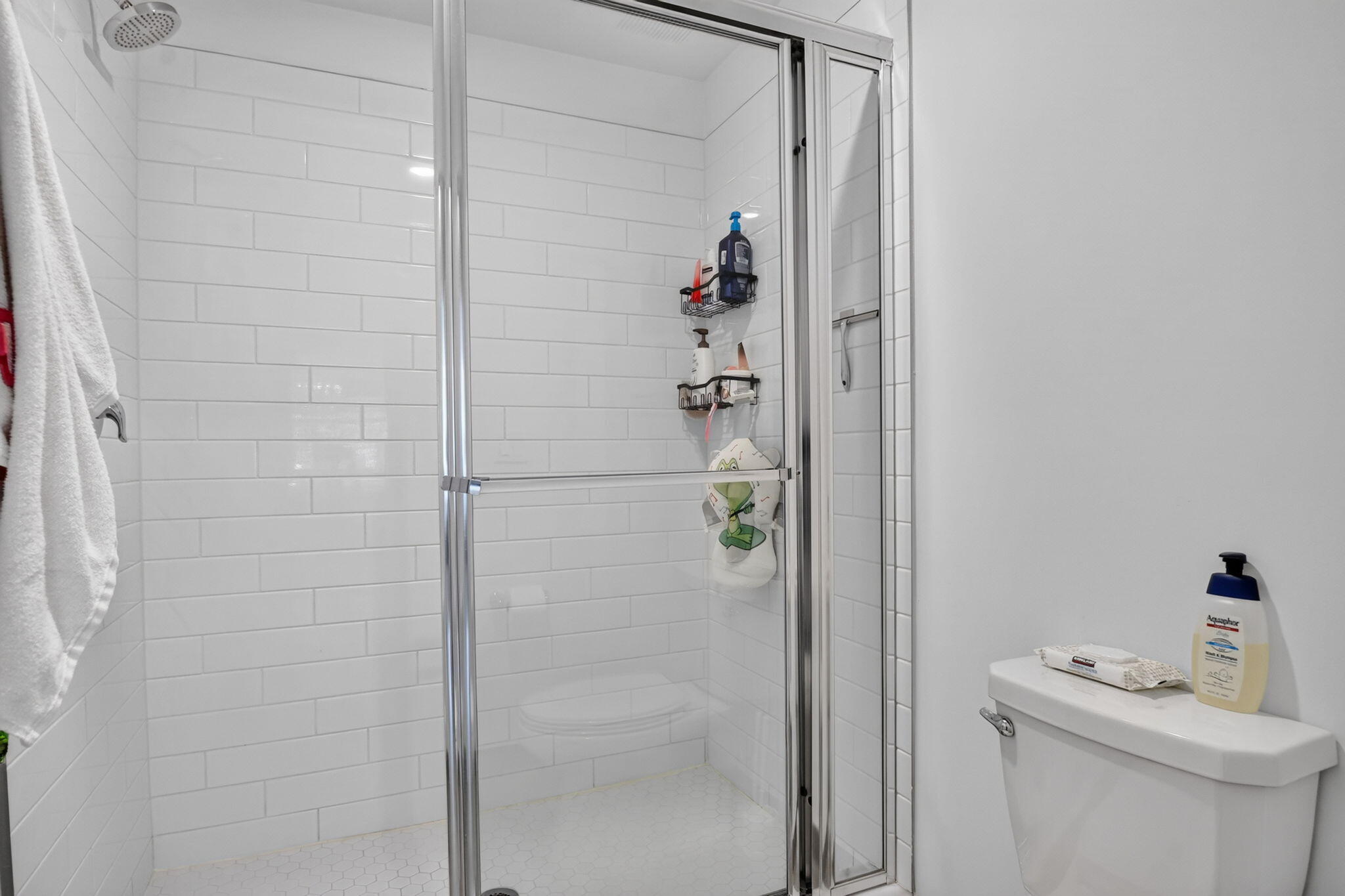 LAKESHORE AT THE FOUNTAINS REPLAT - Residential