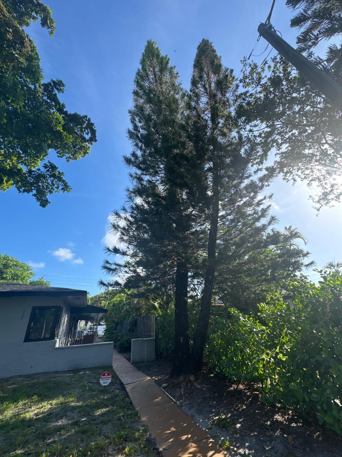 HOLLYWOOD SOUTH SIDE ADD NO 2 - Residential Income