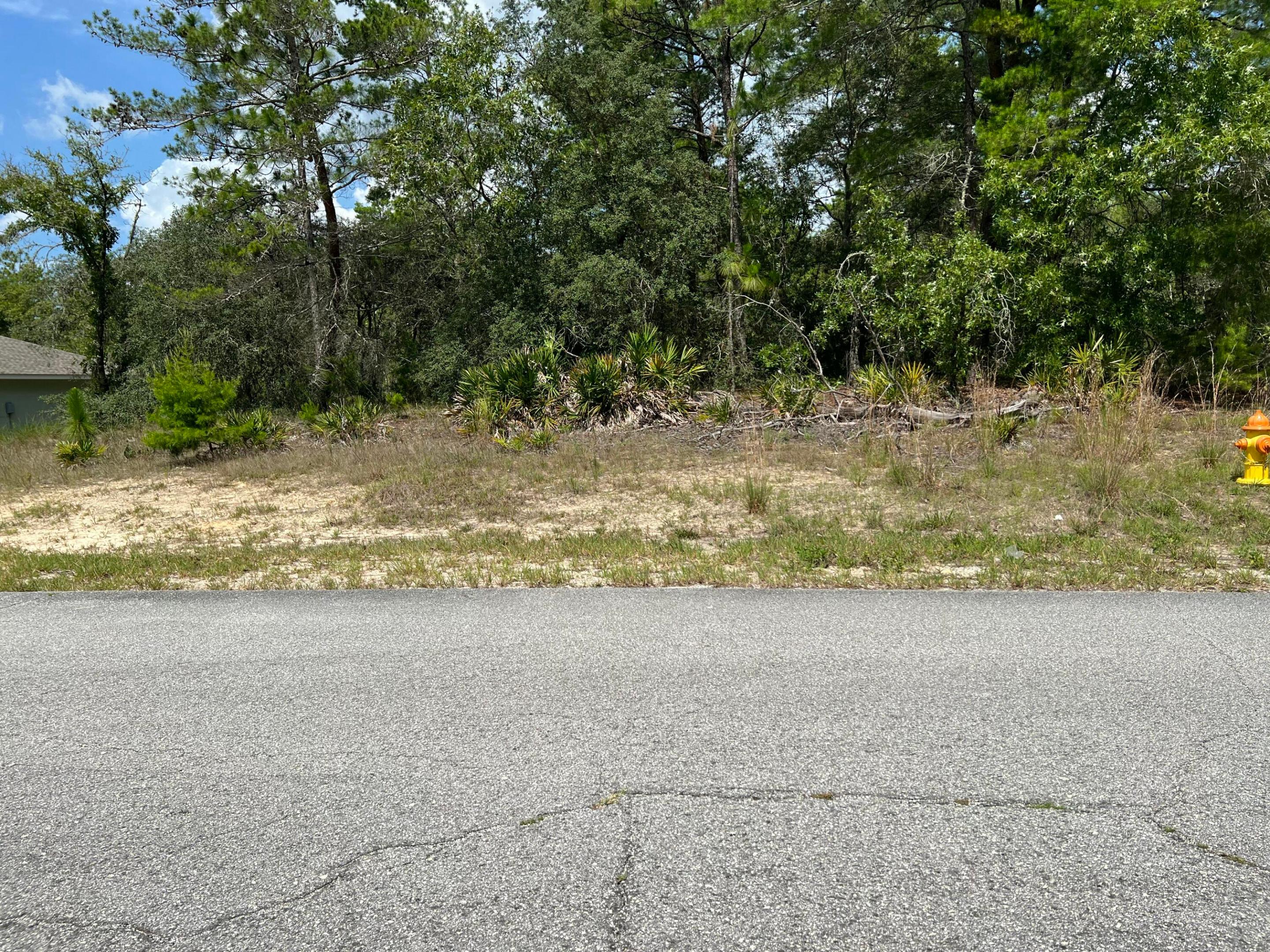 Build your brand-new home in the popular and rapidly growing community of Citrus Springs! This beautiful 0.25-acre homesite offers the perfect opportunity to create the home you've always envisioned. With ample space for a variety of floor plans — including room for a private pool. Nestled in a developing neighborhood with convenient access to parks, golf courses, schools, and everyday amenities. The seller does not have any reports or surveys available. Buyers are encouraged to verify all information, including utilities, zoning and building requirements. 

Don't miss this opportunity to secure your piece of Florida living in Citrus Springs!