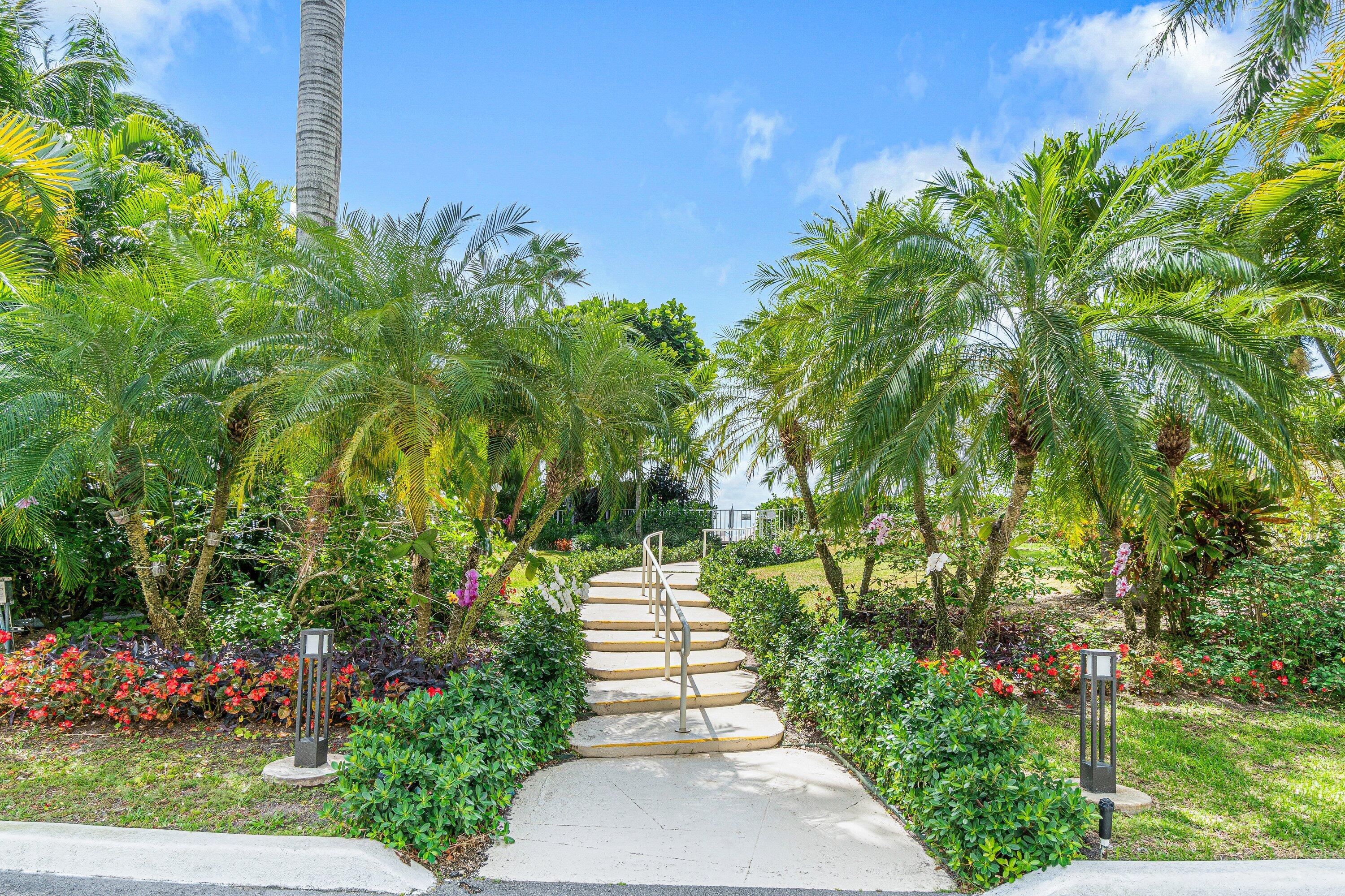 PRESIDENT OF PALM BEACH CONDO - Residential