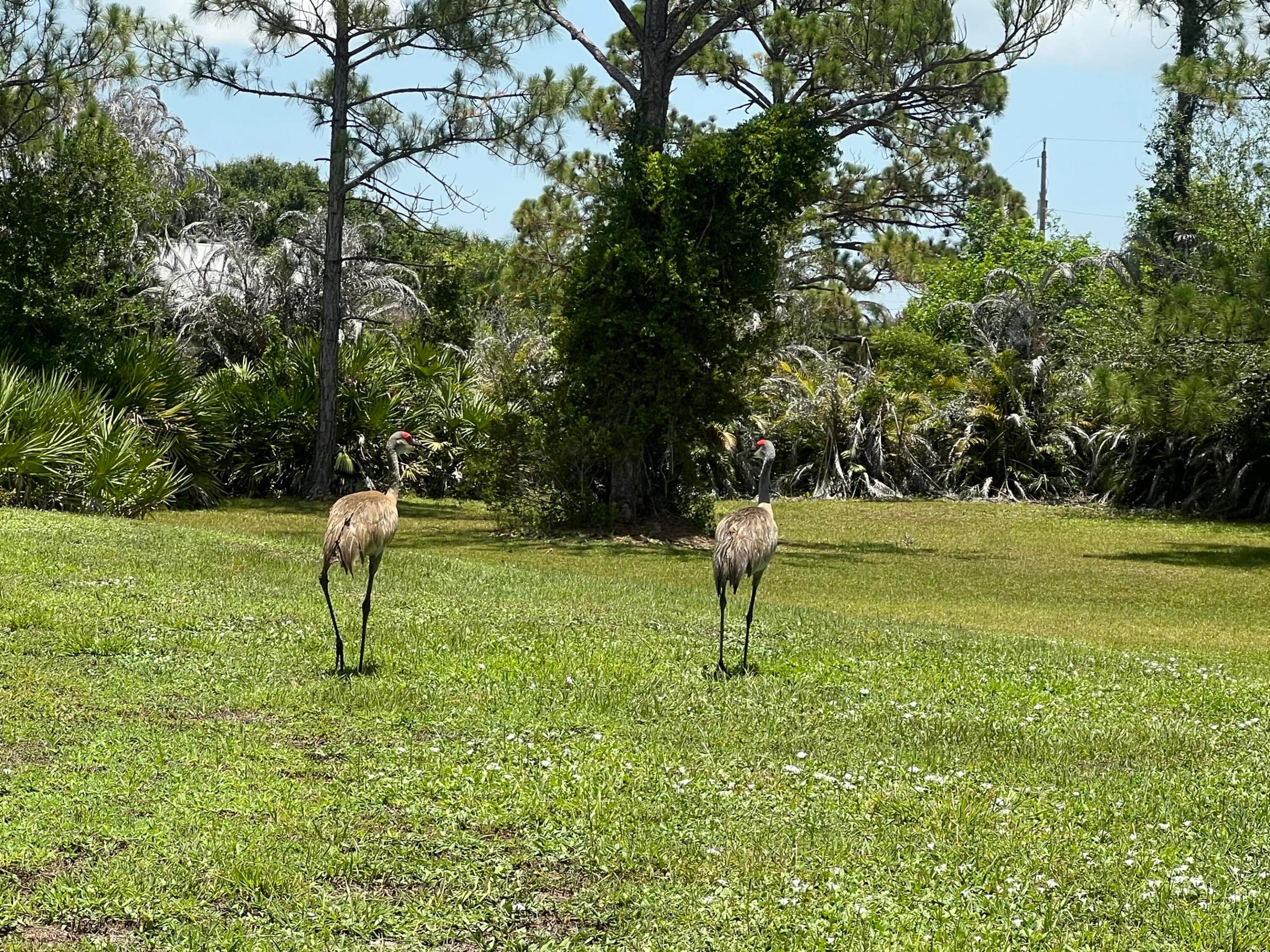TREASURE COAST AIRPARK - Residential