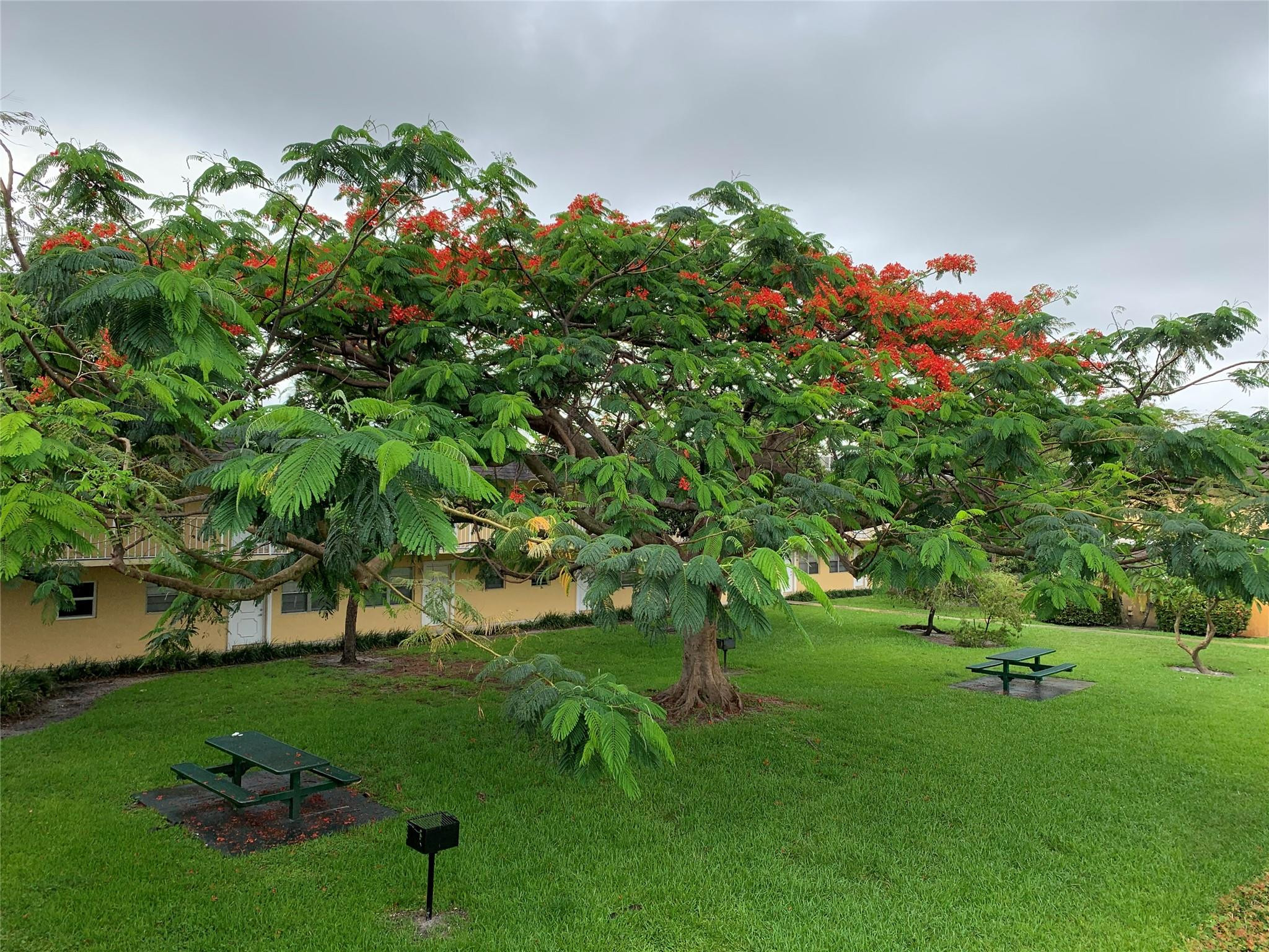 Village Park At Oakland C - Residential Lease
