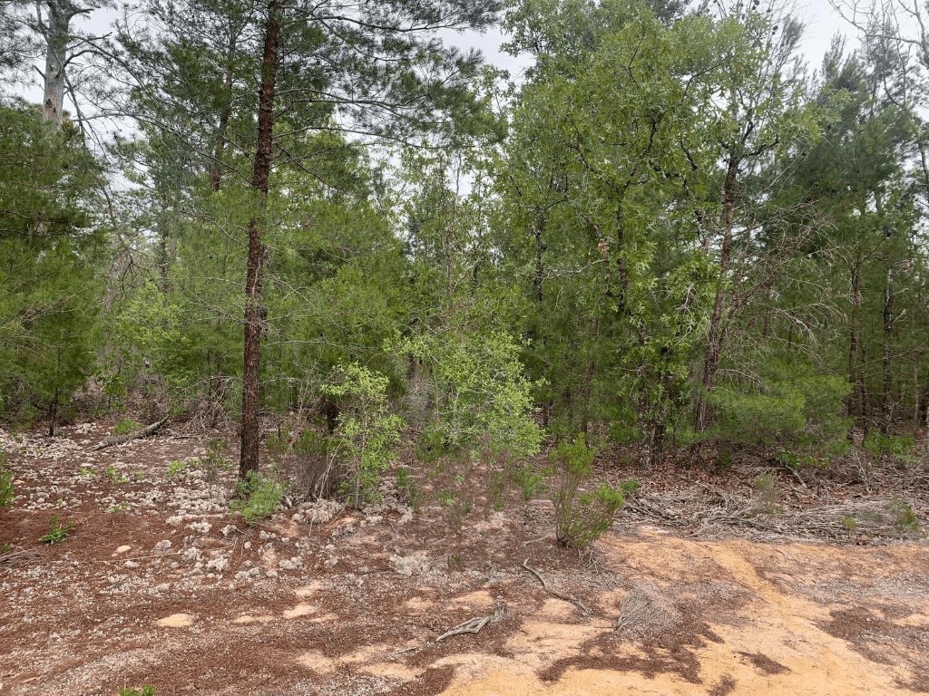 Adjacent land available.Owner finance available with only $1,500 down