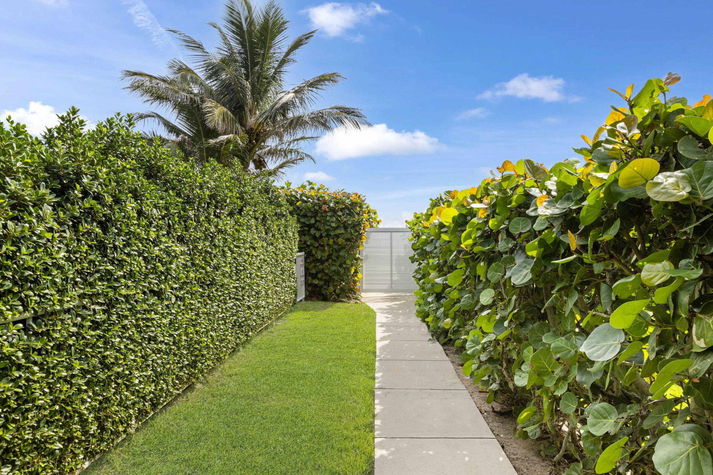CARLYLE HOUSE CONDO - Residential