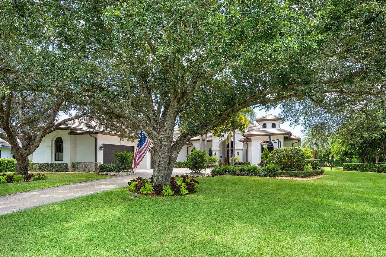 Steeplechase - Residential