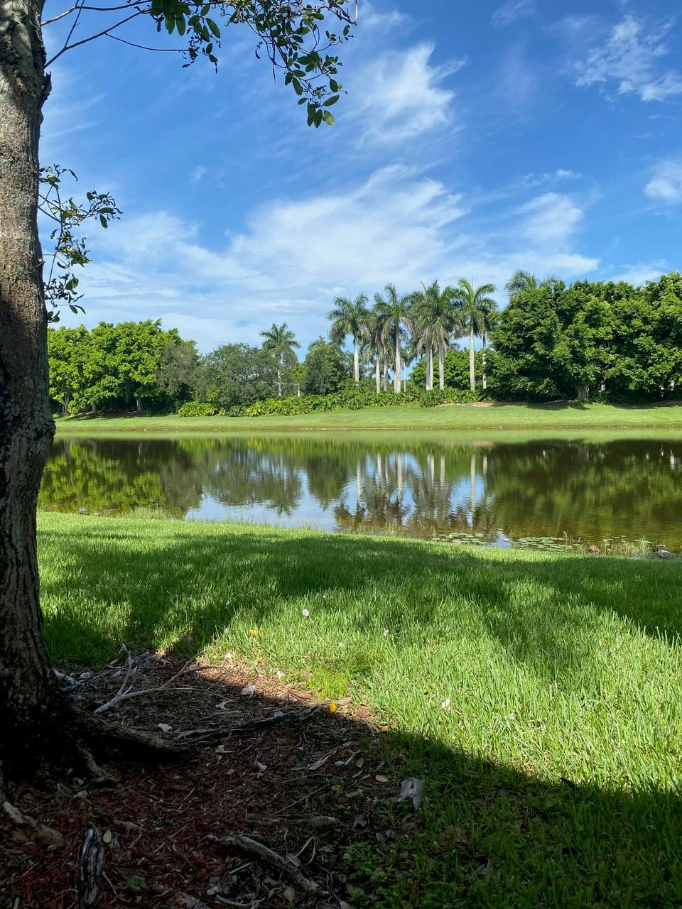 SECTORS 3 & 4 BOUNDARY PLAT - Residential