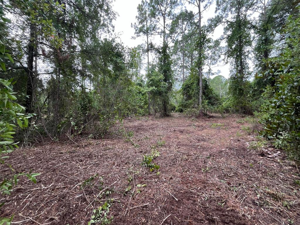 LAKE GEORGE MANOR - Land