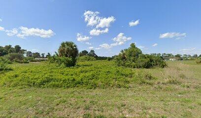 This is an Empty Lot in SouthWood subdivision of LeHigh Acres. A great opportunity to build your Dream Home. *Buyers must do their own due diligence for zoning, permitting, land use, utilities, Ect.*