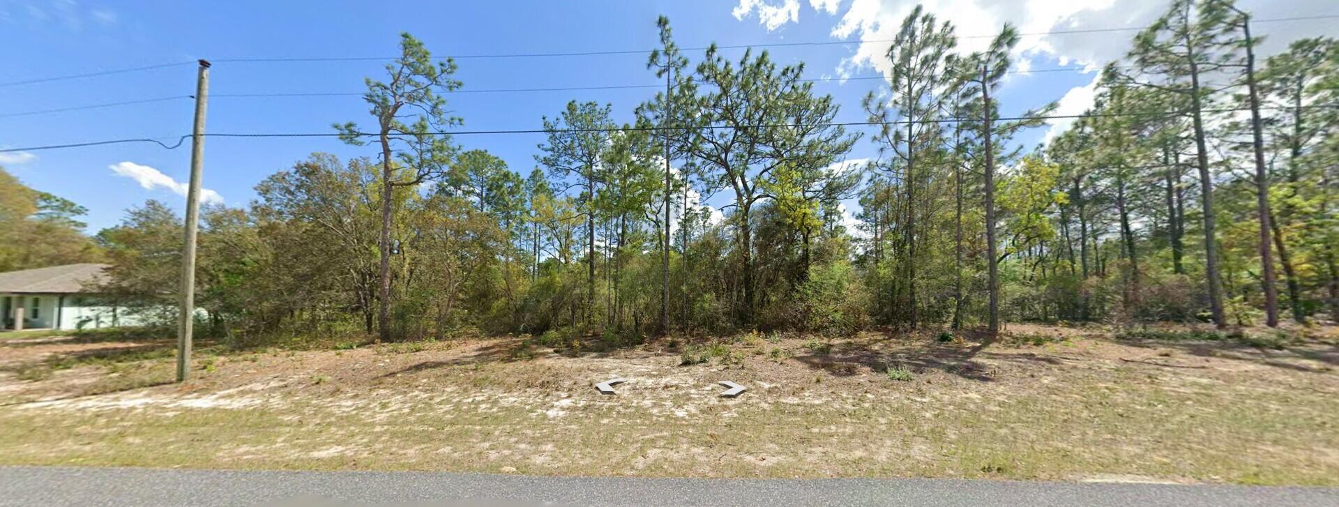 Buildable residential lot located in the growing community of Citrus Springs! This 0.23-acre parcel offers a great opportunity to build your future home or hold as an investment. Property is located on a paved road with surrounding newer homes in the area. Conveniently located near shopping, schools, golf courses, medical facilities, parks, and the Rainbow River. No HOA. Enjoy the peaceful Florida lifestyle while still being within driving distance to the Gulf Coast and major highways. Don't miss this opportunity to own land in one of Citrus County's fast-growing areas. From US-41 N, turn right onto W Citrus Springs Blvd. Continue straight, then turn left onto N Elkcam Blvd. Turn right onto W Century Blvd, then left onto N Saponaria Dr. Property will be on the right.