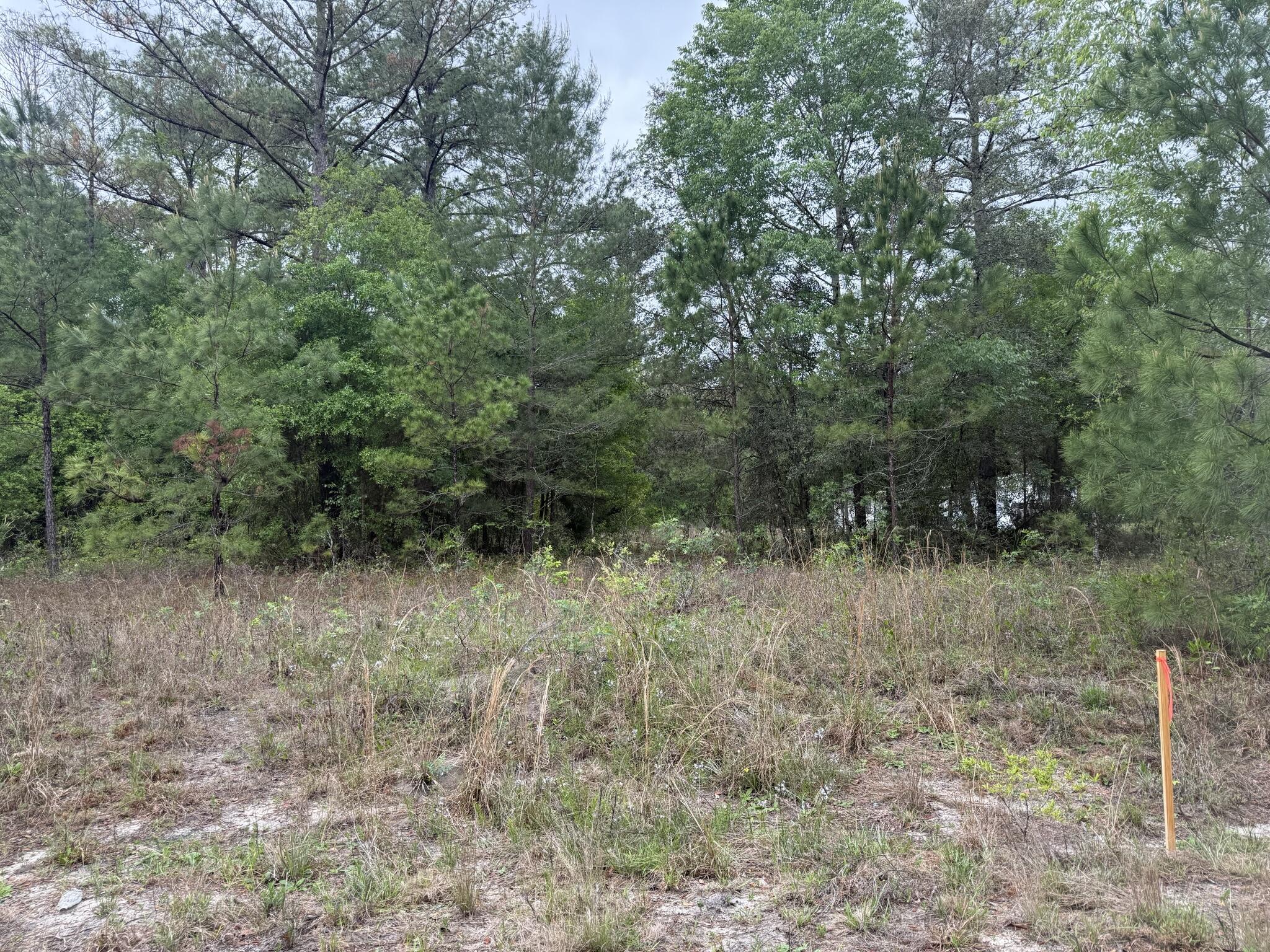 Great opportunity in Interlachen! Three parcels being sold together, totaling 0.66 acres, zoned R-2, offering flexibility for residential use. Whether you're looking to build a single-family home, place a mobile or manufactured home (buyer to verify), or invest for the future, this property provides plenty of space and potential. Located on Mullins Ave with easy access to local amenities, lakes, and outdoor recreation. Enjoy the quiet, rural feel while still being within reach of Palatka, Gainesville, and surrounding areas. Don't miss this affordable land opportunity in growing Putnam County. Driving directions use 728 Maltas ave