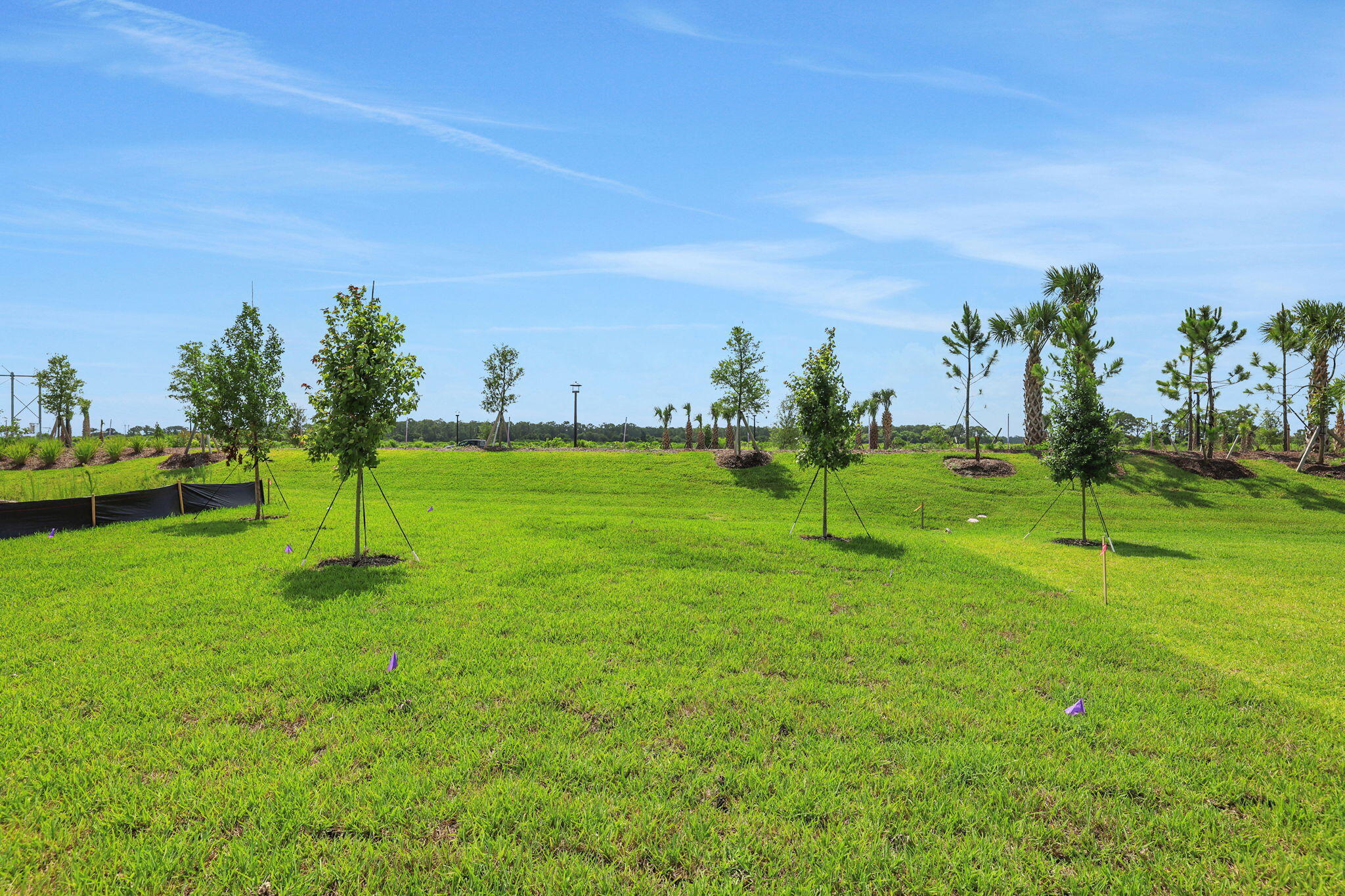 LTC RANCH WEST POD 2 PHASES 1 AND 2 - Residential
