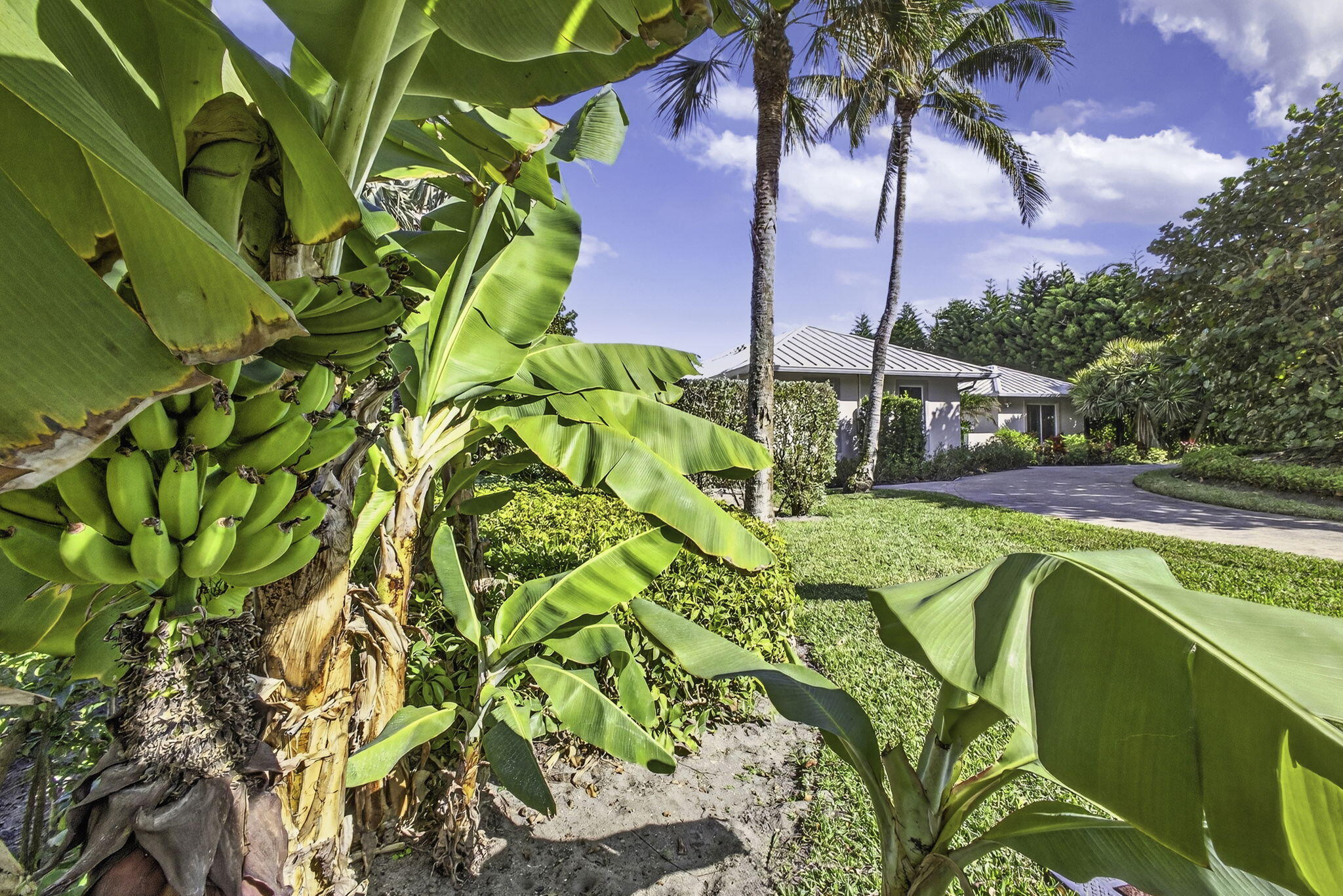 Exquisite oceanfront estate on prestigious Jupiter Island, fully renovated to embody coastal luxury. This 4-bedroom, 5.5-bath residence offers private beach, a gourmet kitchen, and a striking cocina stone fireplace. Designed for refined living and effortless entertaining, enjoy an air-conditioned summer kitchen with gas grill, resort-style pool, and seamless indoor-outdoor spaces. The expansive primary suite features a spa-inspired bath, while guest suites ensure unmatched comfort, each with their own bath. With direct beach access, elegant finishes, and a location on one of the most exclusive islands in the world, this home defines sophisticated oceanfront living.