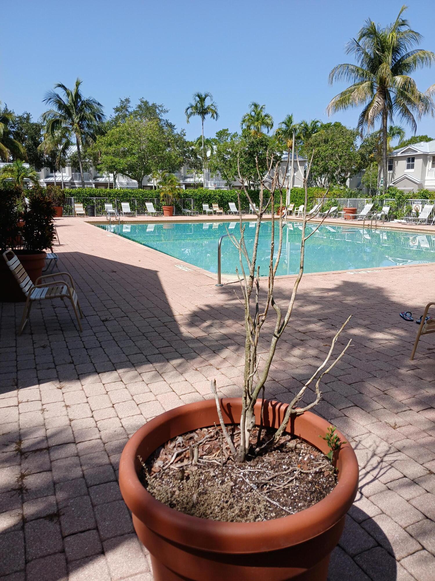 SHOMA COURTYARDS II AT ROYAL PALM CONDOM - Residential