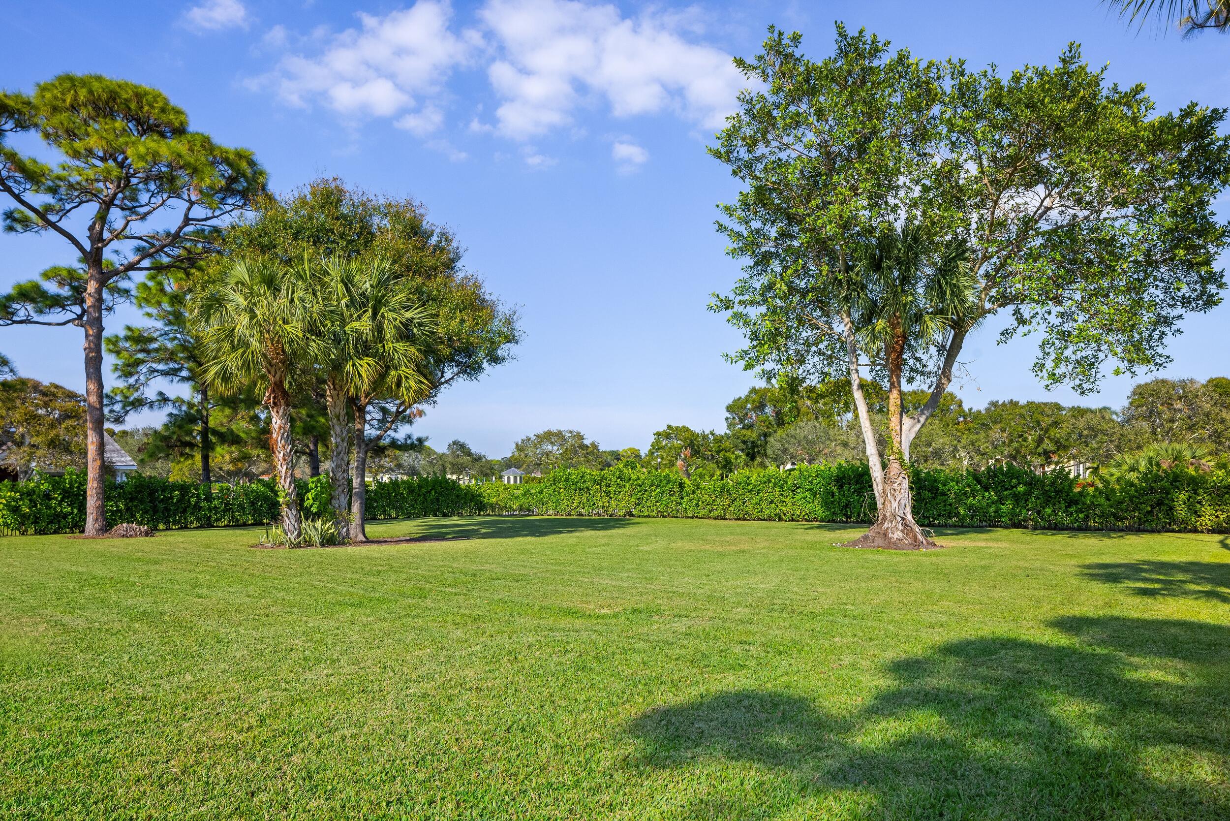 Steeplechase - Residential