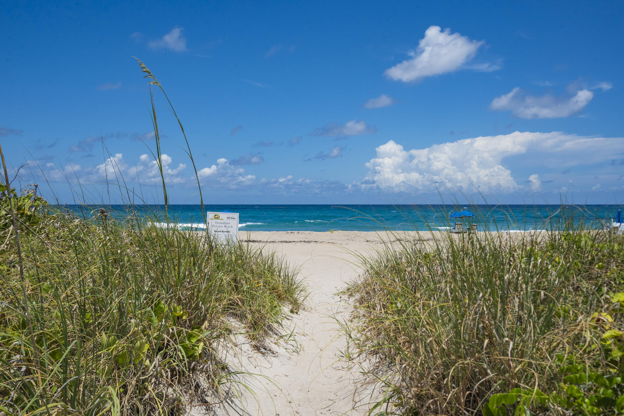 OCEANTREE CONDO - Residential