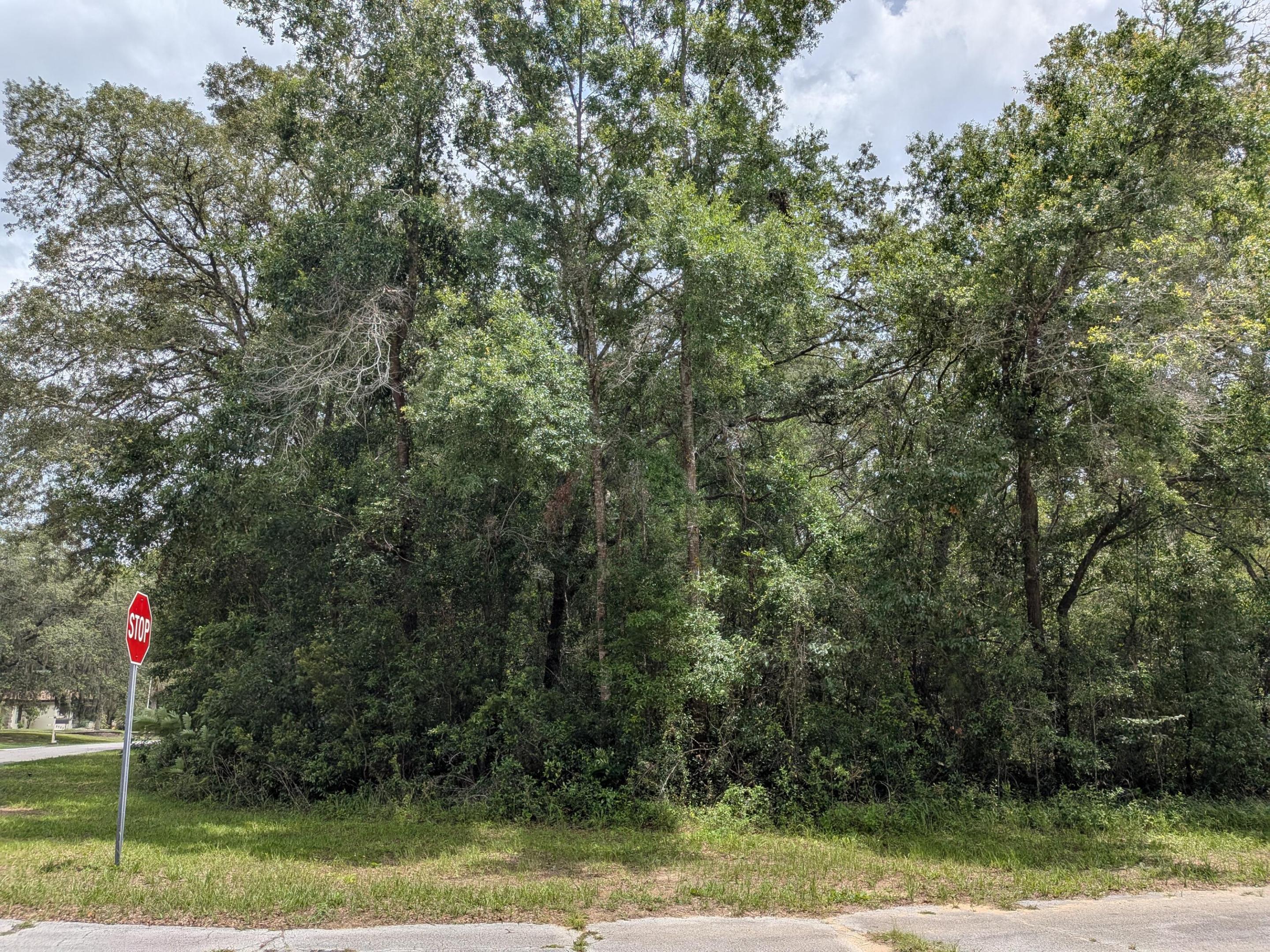 CITRUS SPRINGS UNIT 04 - Land
