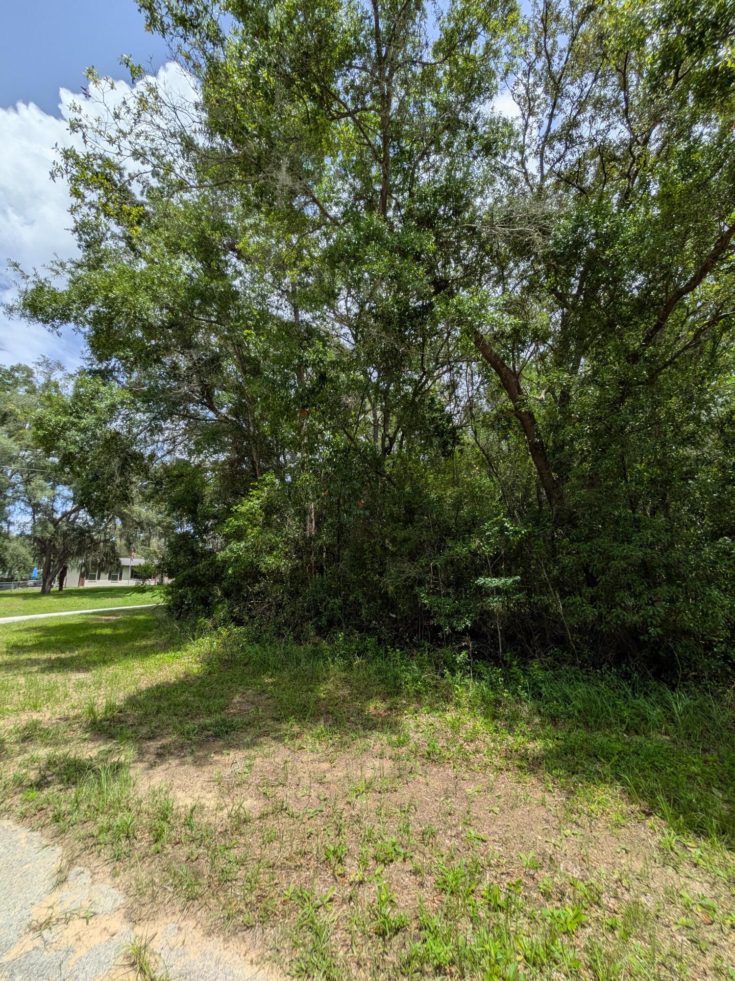 CITRUS SPRINGS UNIT 04 - Land