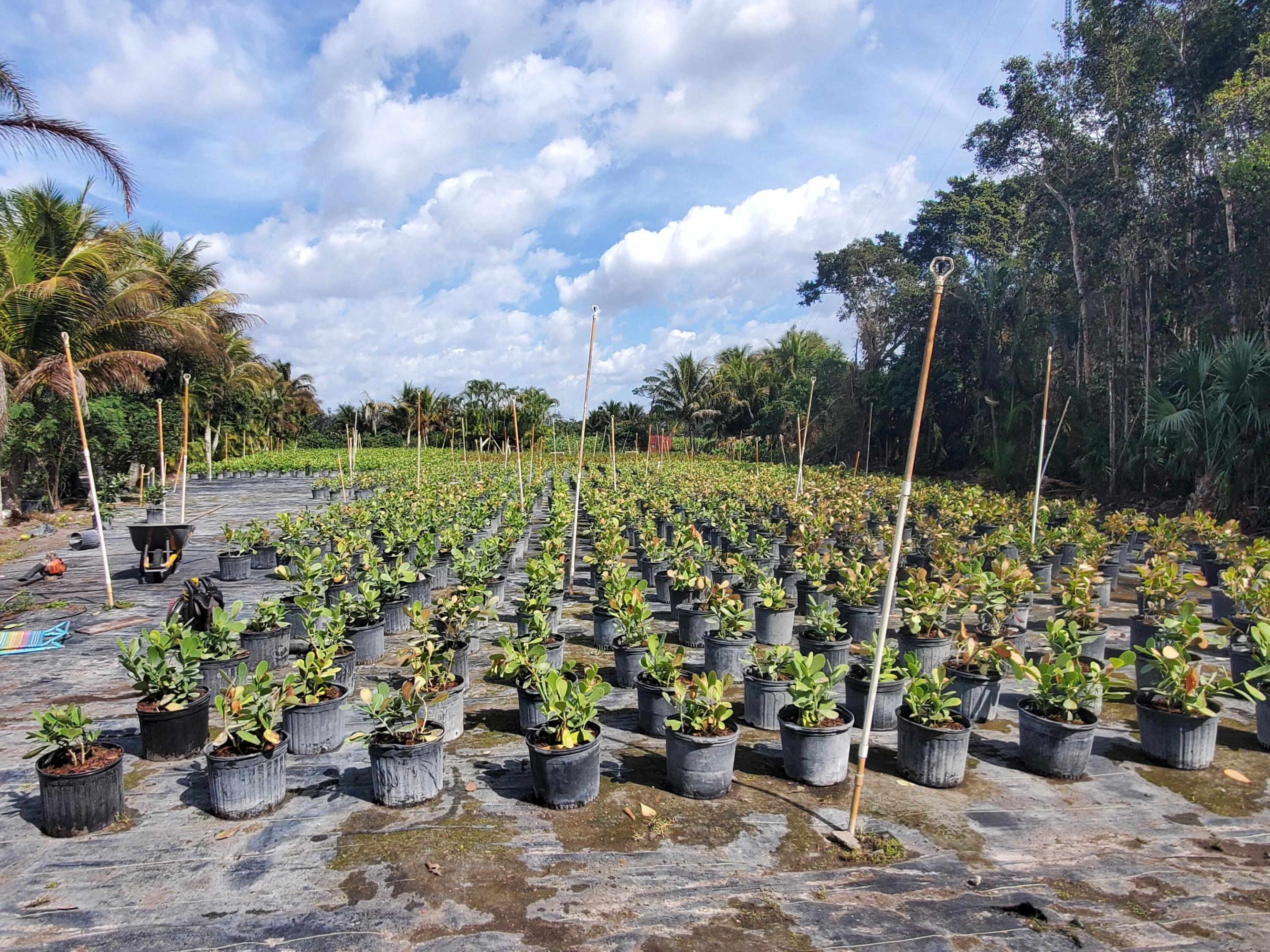 Heritage Farms - Land