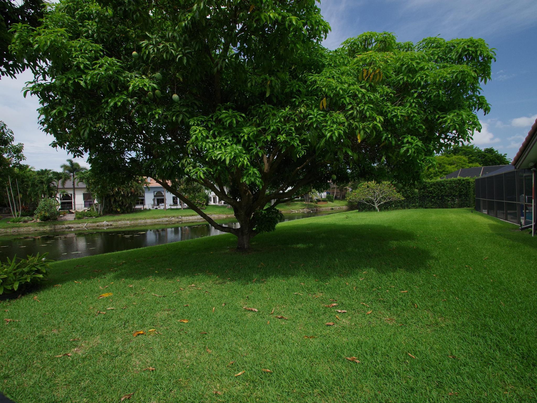 COUNTRYS POINT - Residential