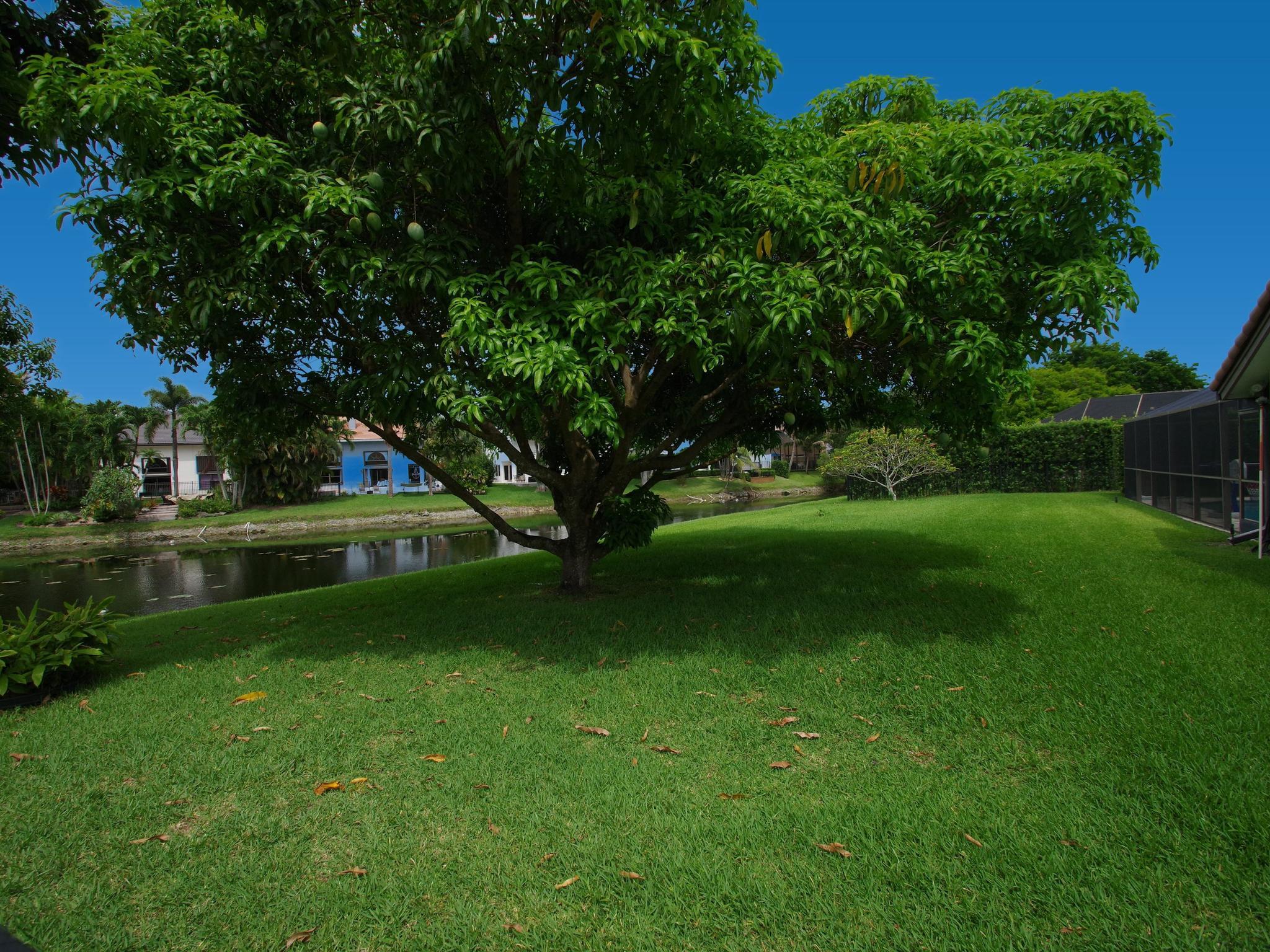 COUNTRYS POINT - Residential