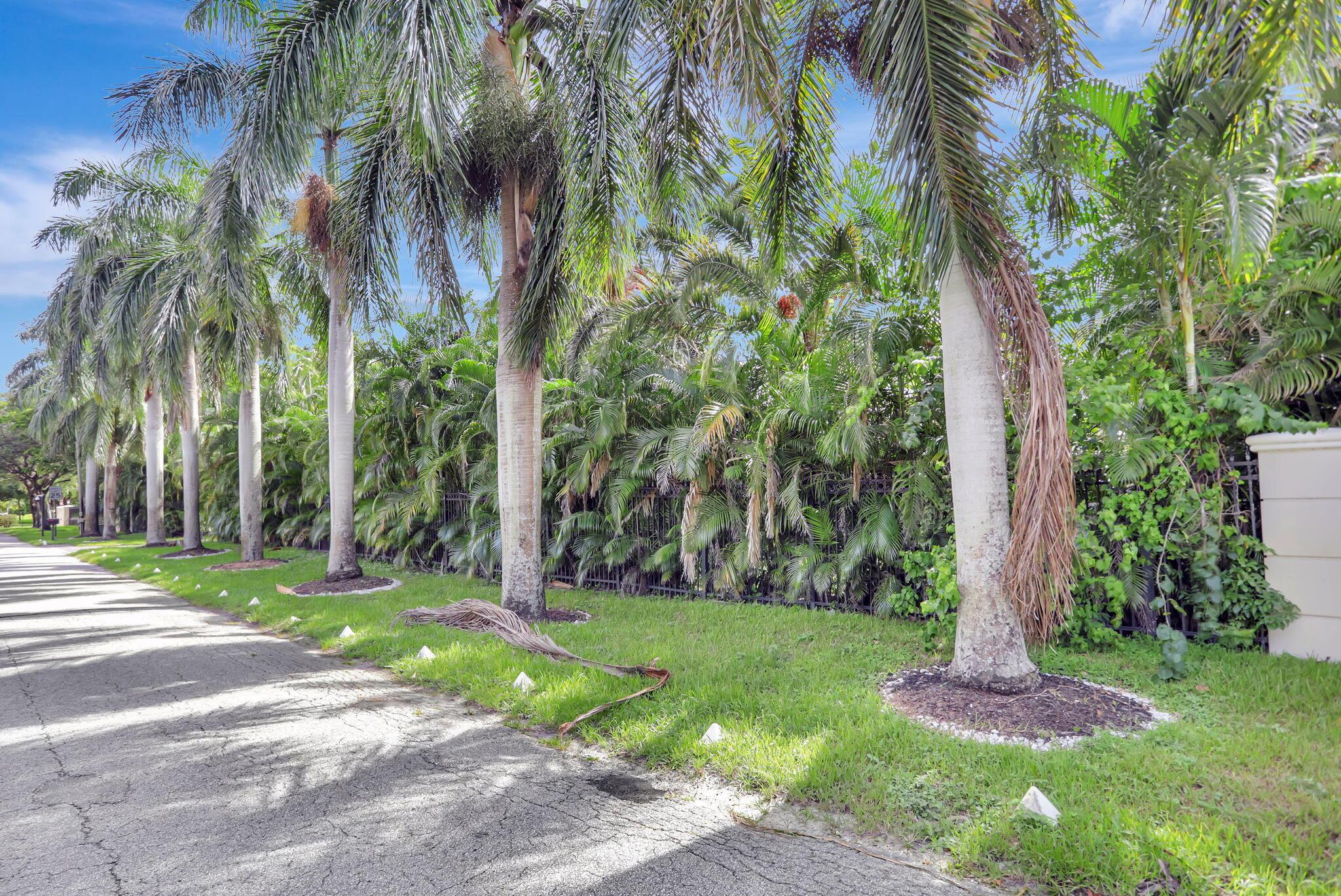 PINE TREE ESTATES - Residential