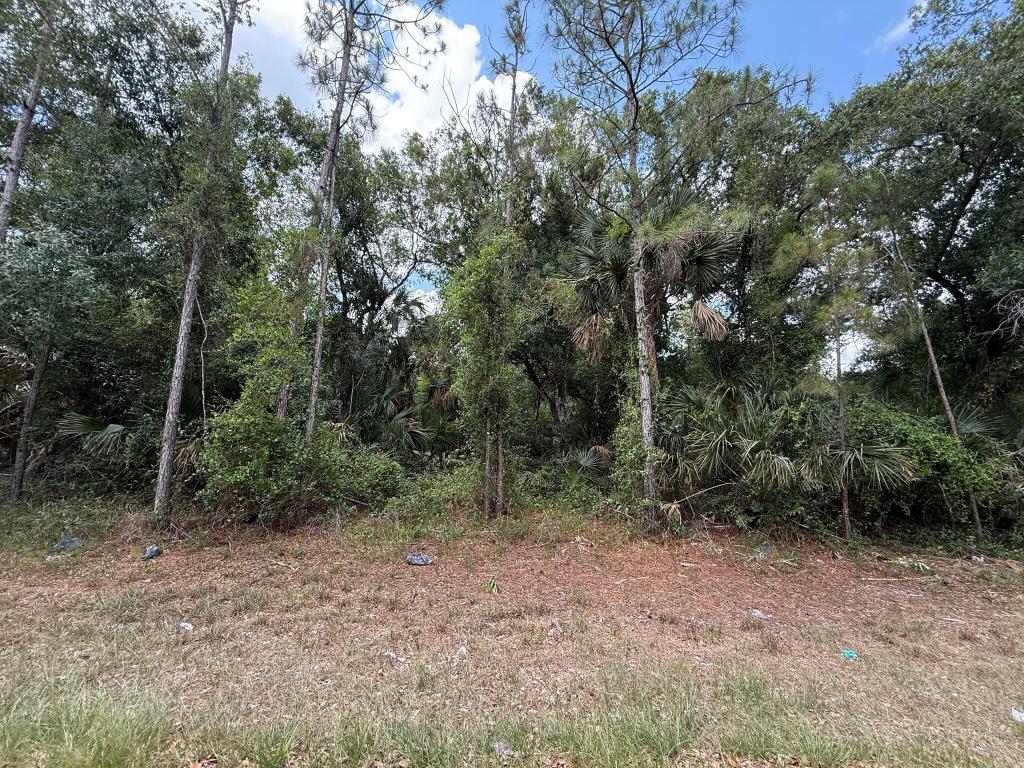 PORT CHARLOTTE SEC 57 - Land