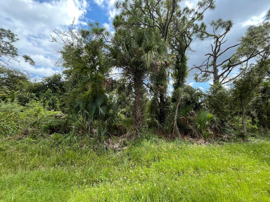 PORT CHARLOTTE SEC 57 - Land