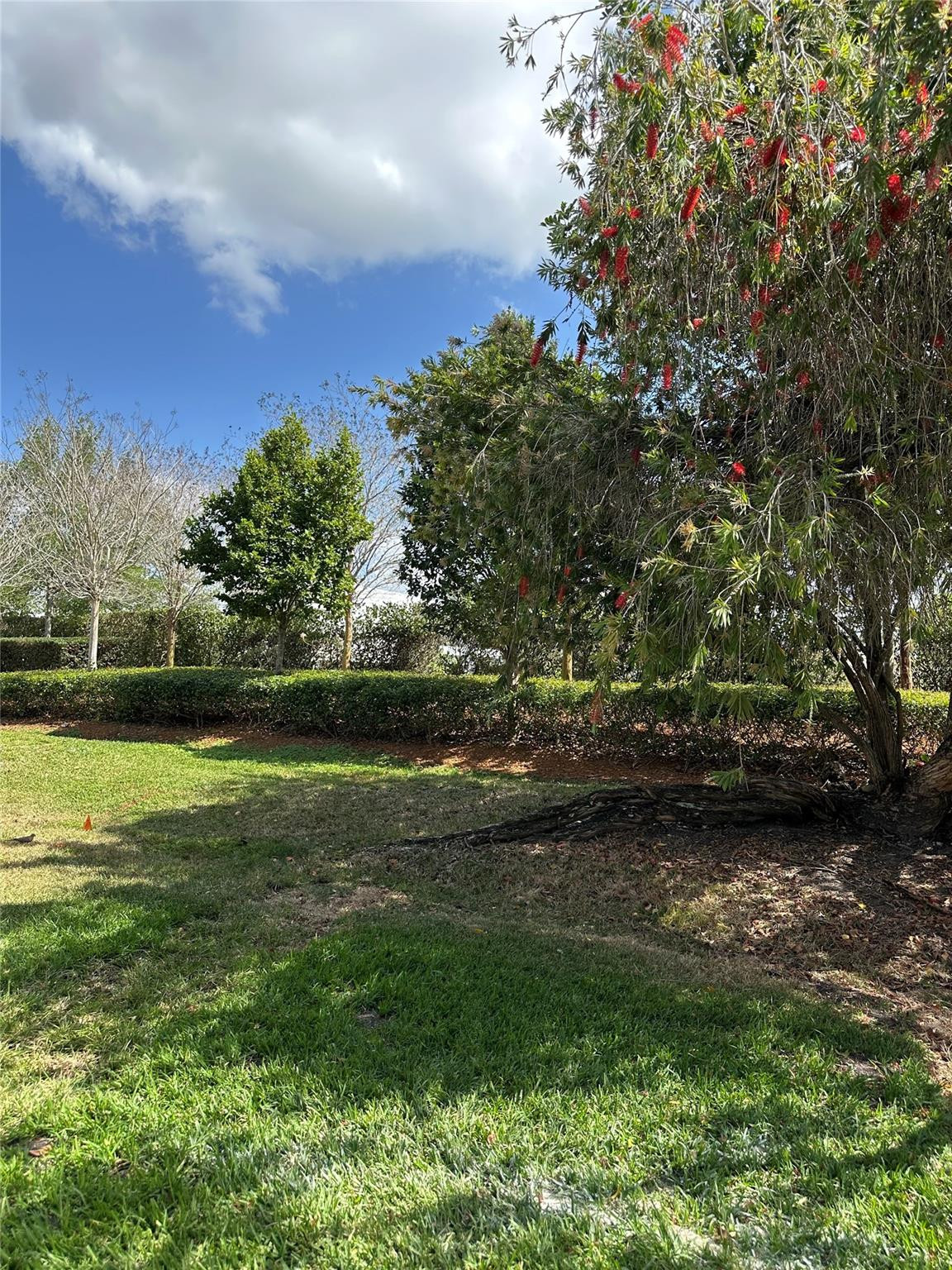 GARDENS AT BONAVENTURE 11 EAST - Residential Lease