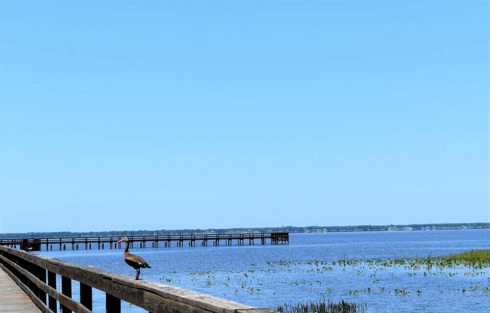 INDIAN LAKE ESTATES UNIT 02 - Land