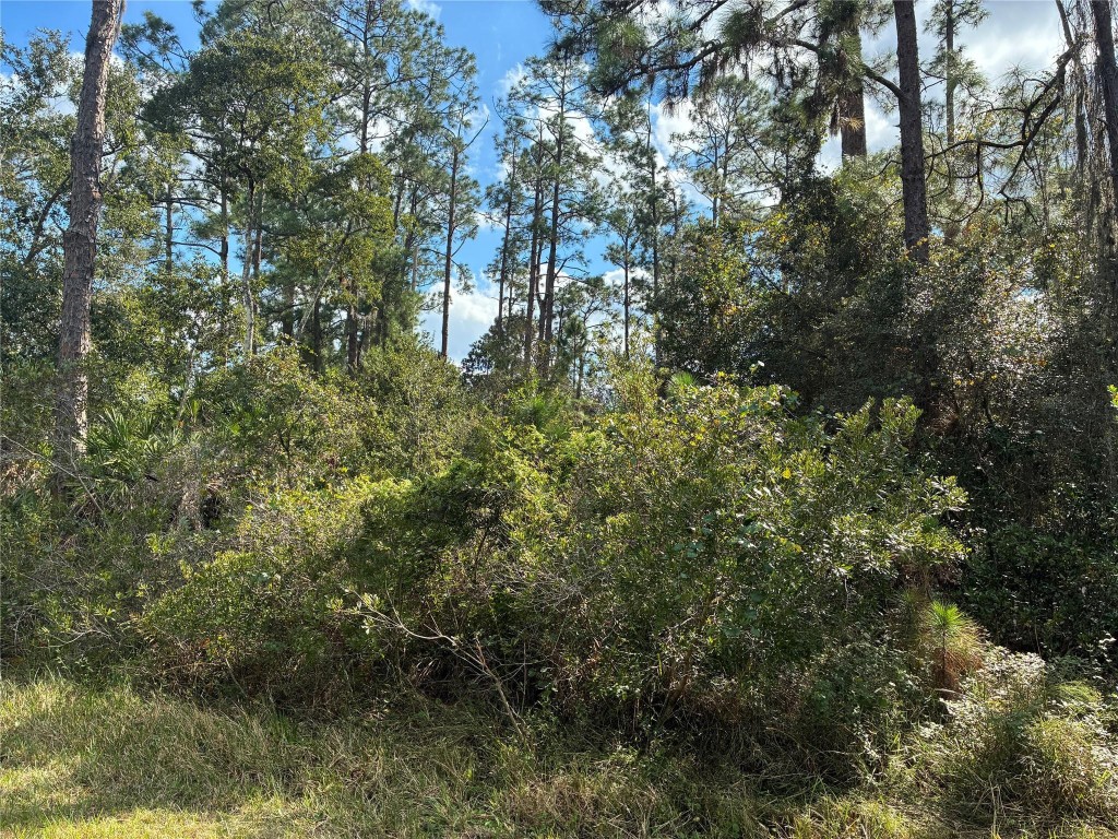 Indian Lake Estates - Land