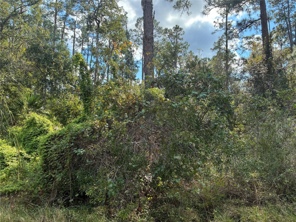Indian Lake Estates - Land