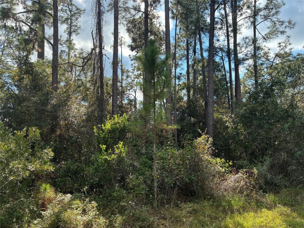 Indian Lake Estates - Land