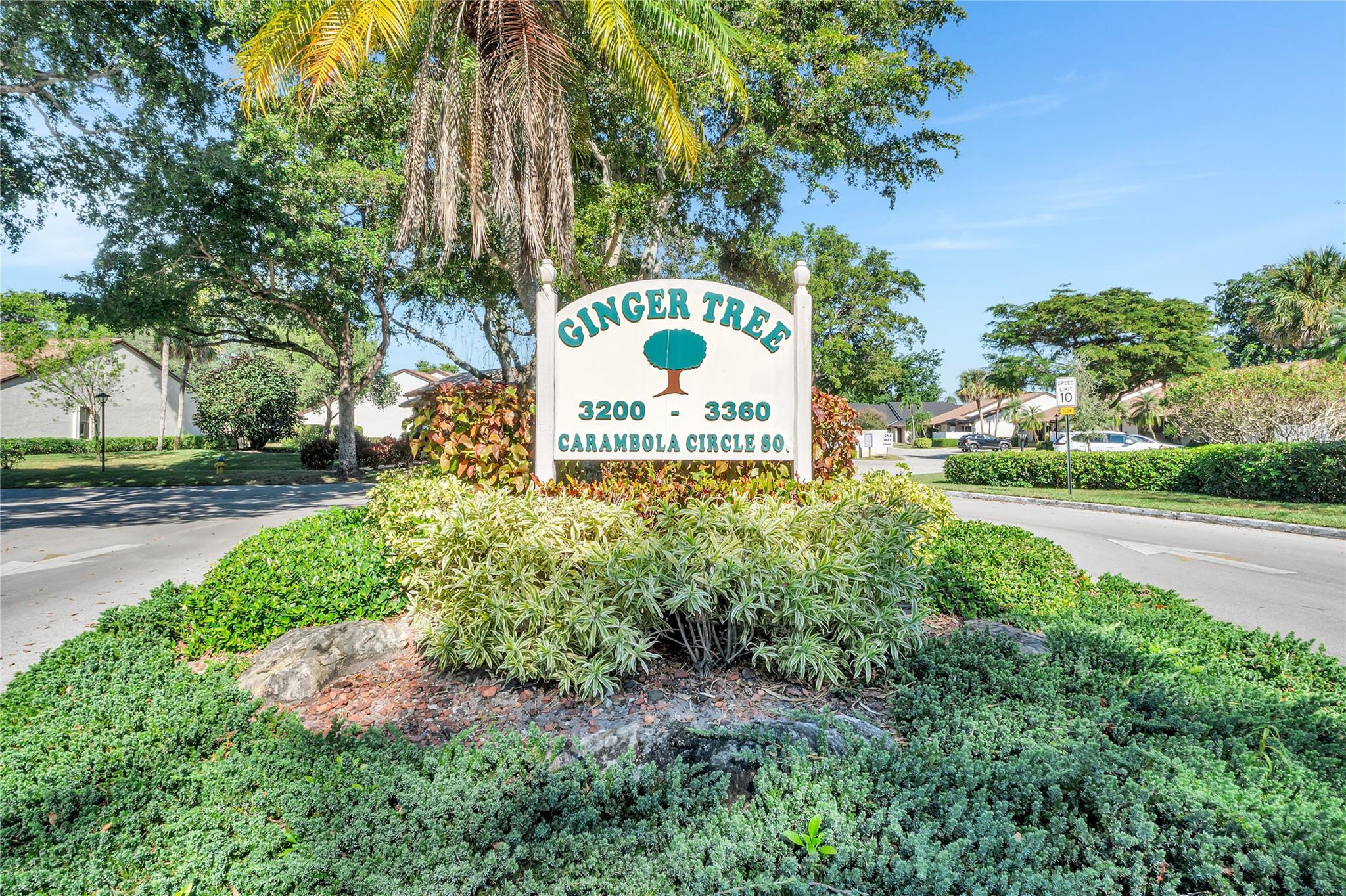 GINGER TREE - Residential