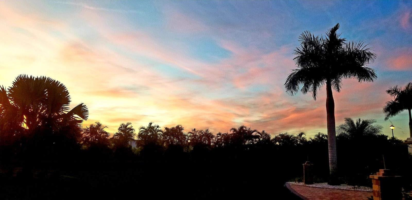 SILVER PALMS RV VILLAGE - Land