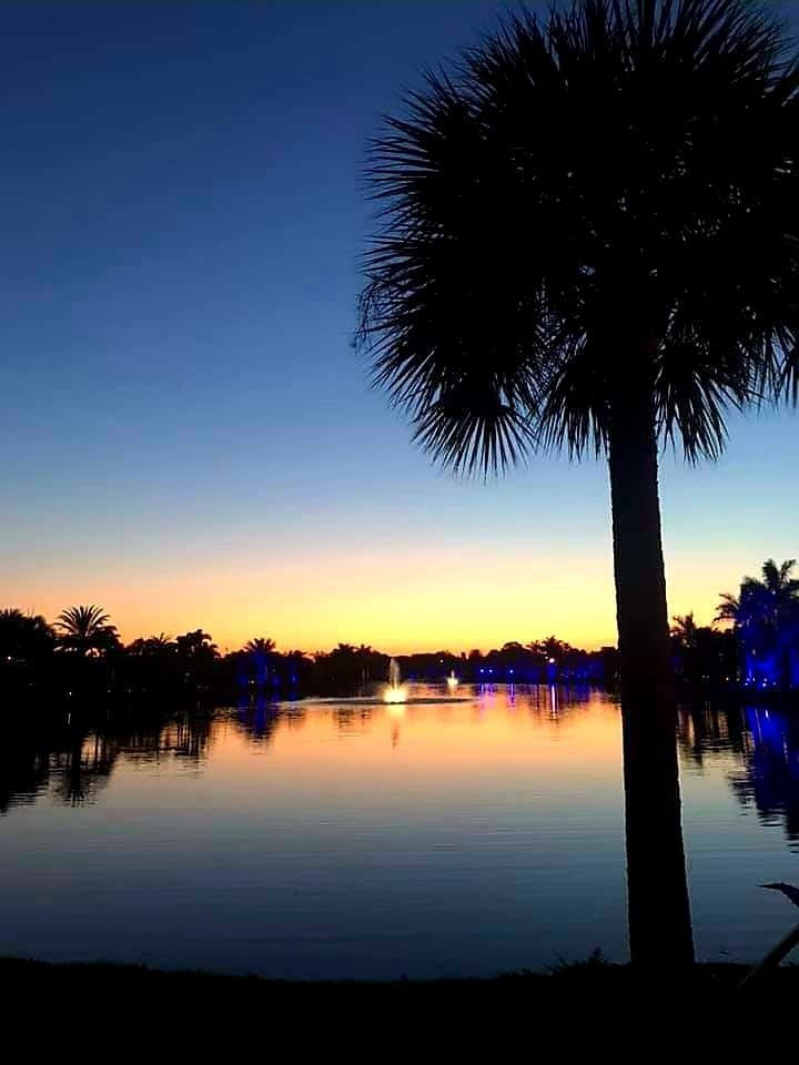 SILVER PALMS RV VILLAGE - Land
