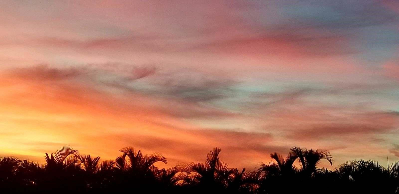 SILVER PALMS RV VILLAGE - Land