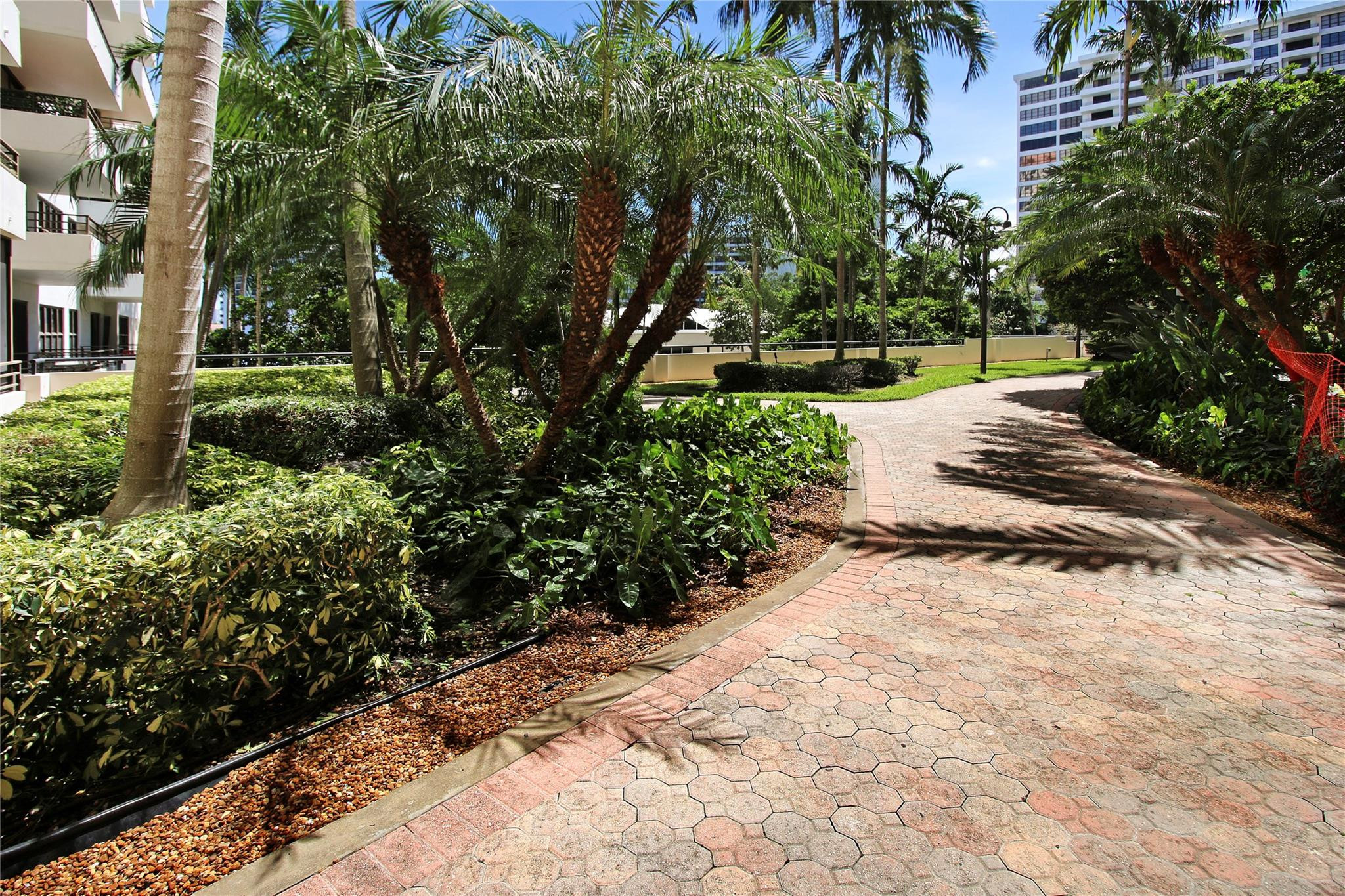 OLYMPUS CONDO PHASE - Residential
